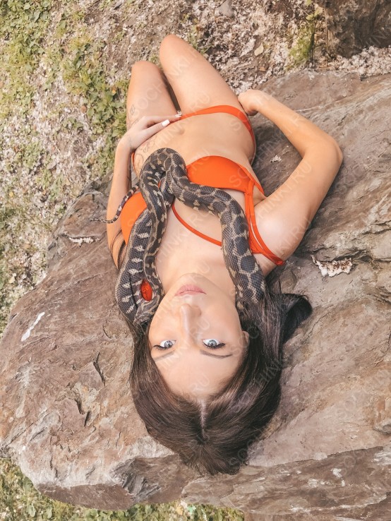 ����������� , ����