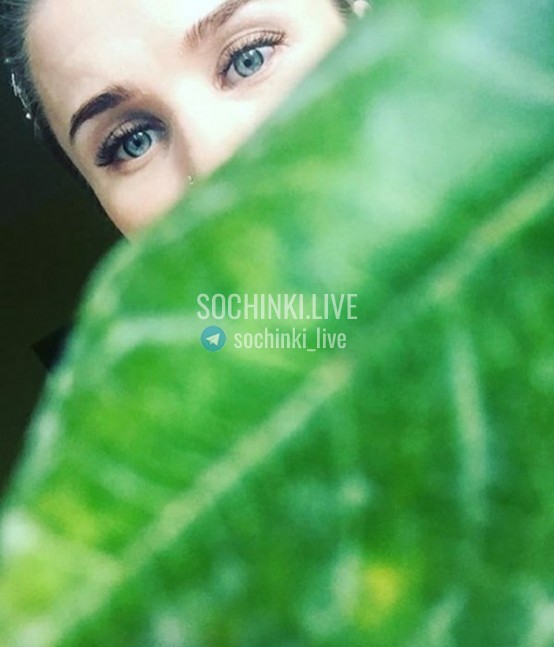 ����������� , ����