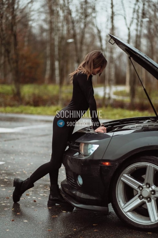 ����������� , ����